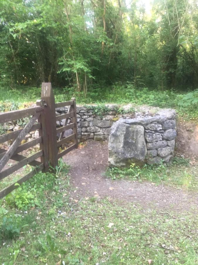 Red Robin Nest Leilighet Galway Eksteriør bilde